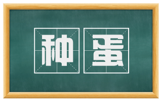 种蛋