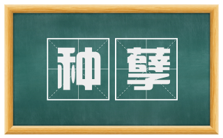 种孽