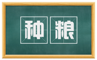 种粮