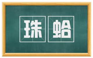 珠蛤