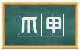 爪甲