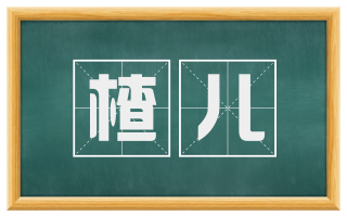 楂儿