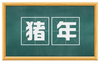 猪年