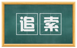 追索