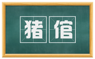 猪倌
