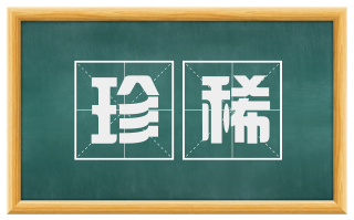 珍稀
