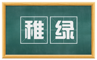稚绿