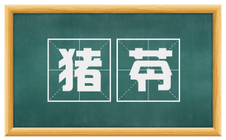 猪苓
