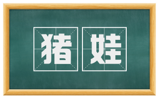 猪娃