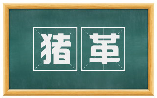 猪革
