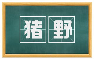 猪野