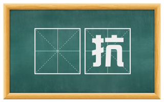 詶抗