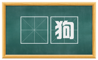 瘈狗