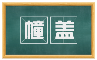 幢盖