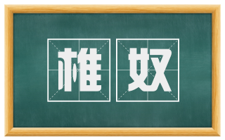 椎奴