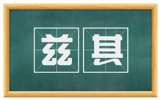 兹其