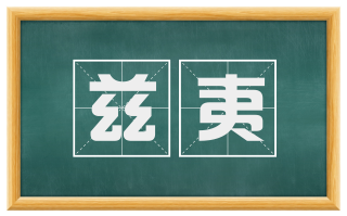 兹夷