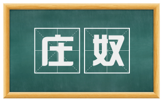庄奴