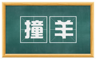 撞羊