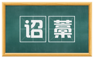 诏藁