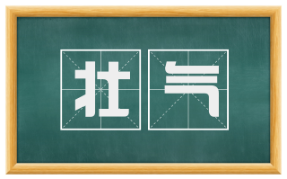 壮气