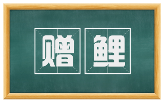 赠鲤