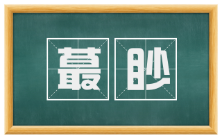 蕞眇