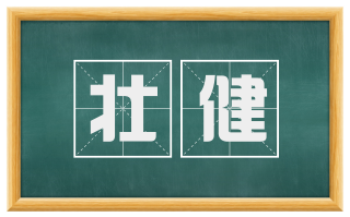 壮健