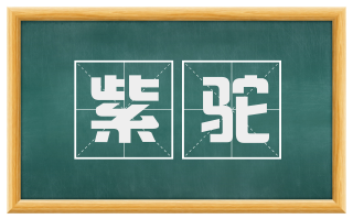 紫驼