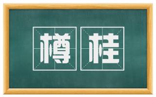 樽桂
