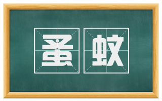蚤蚊