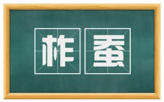 柞蚕
