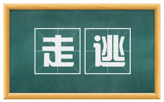 走逃