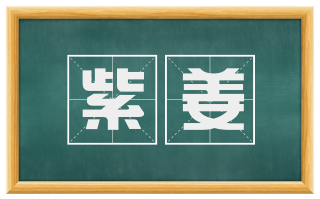紫姜