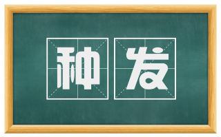 种发