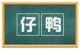仔鸭