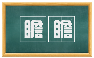 瞻瞻