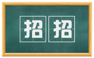 招招