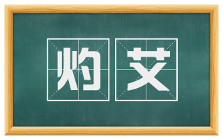 灼艾