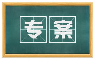 专案