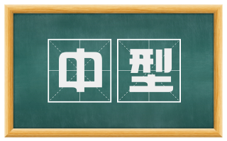 中型