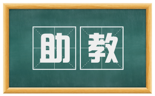 助教