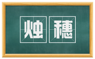 烛穗