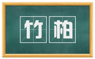 竹柏