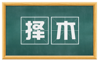 择木