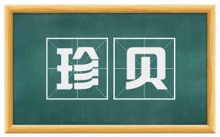 珍贝