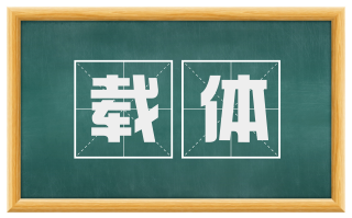 载体