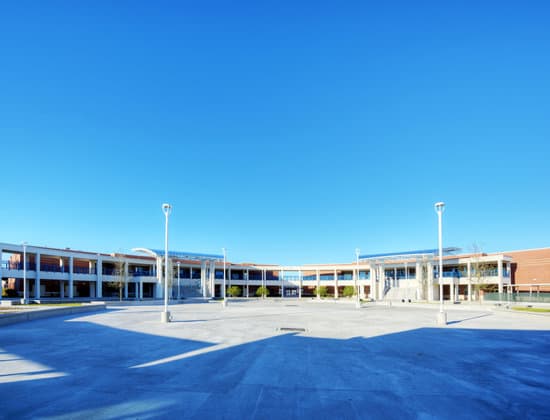 广西大学研究生平时分比例